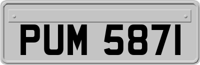 PUM5871