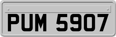 PUM5907