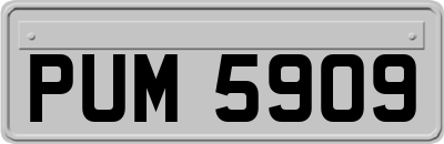 PUM5909