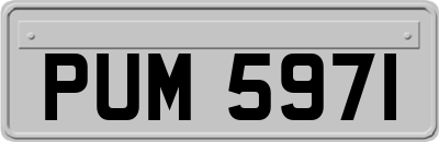 PUM5971