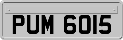 PUM6015