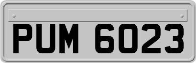 PUM6023