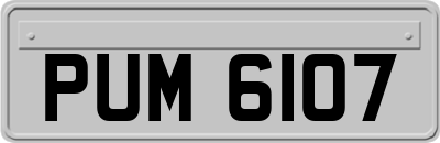 PUM6107