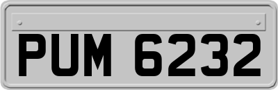 PUM6232
