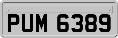 PUM6389