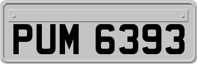 PUM6393