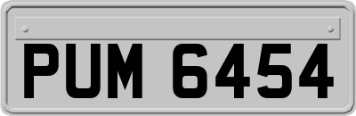 PUM6454
