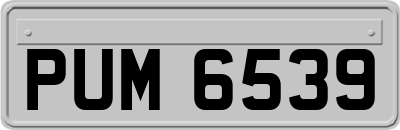 PUM6539