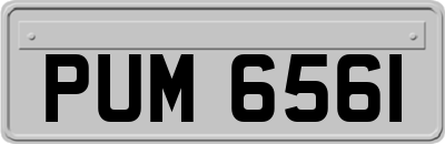PUM6561