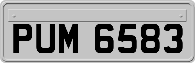 PUM6583