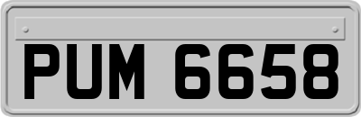 PUM6658