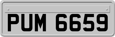 PUM6659