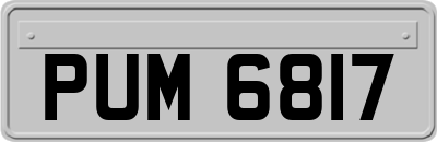 PUM6817
