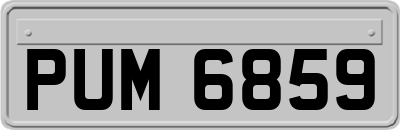 PUM6859