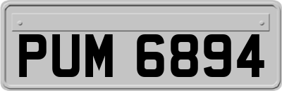 PUM6894
