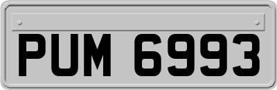 PUM6993
