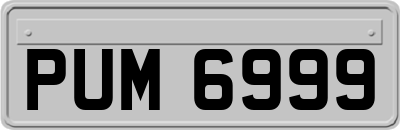 PUM6999