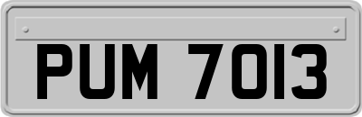 PUM7013