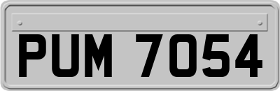 PUM7054