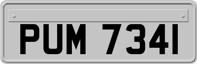 PUM7341