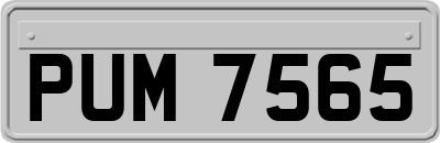 PUM7565