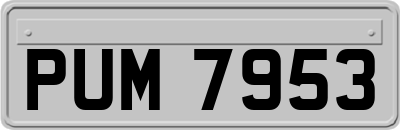 PUM7953