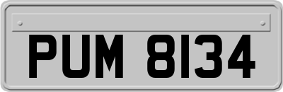 PUM8134