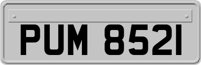 PUM8521