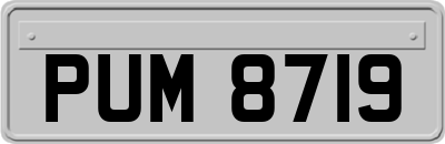 PUM8719