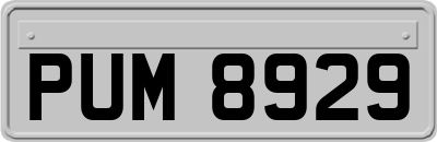 PUM8929