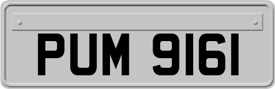PUM9161