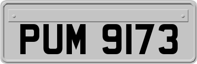 PUM9173