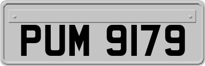 PUM9179