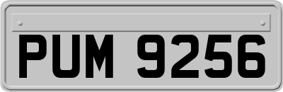 PUM9256