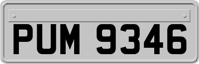 PUM9346