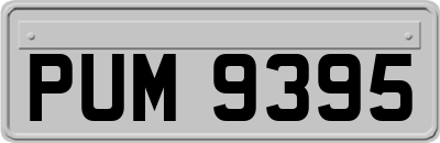 PUM9395