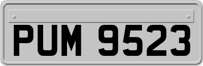 PUM9523