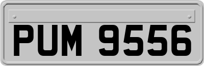 PUM9556