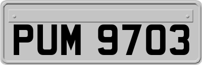 PUM9703
