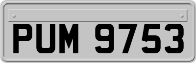 PUM9753
