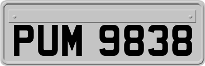 PUM9838