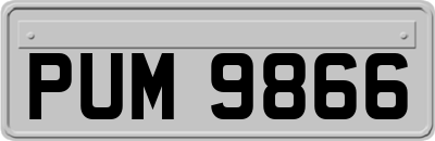 PUM9866