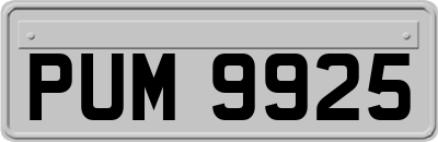 PUM9925