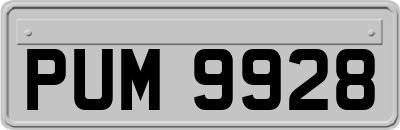 PUM9928