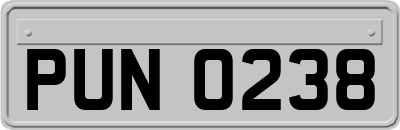 PUN0238