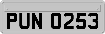 PUN0253