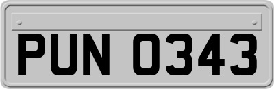PUN0343
