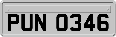 PUN0346