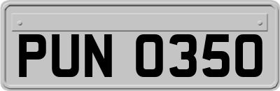 PUN0350