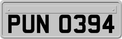 PUN0394